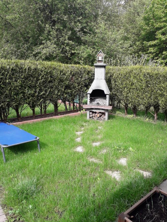 Meuble Celtic Daire Niederbronn-les-Bains Dış mekan fotoğraf